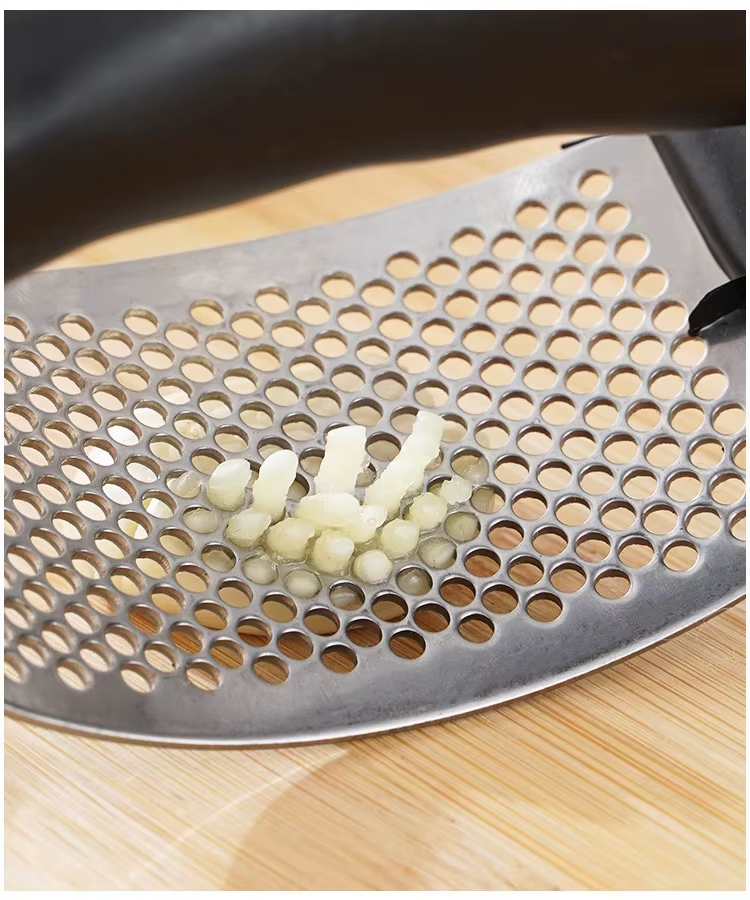 Stainless Steel Garlic Press Crusher & Mincer